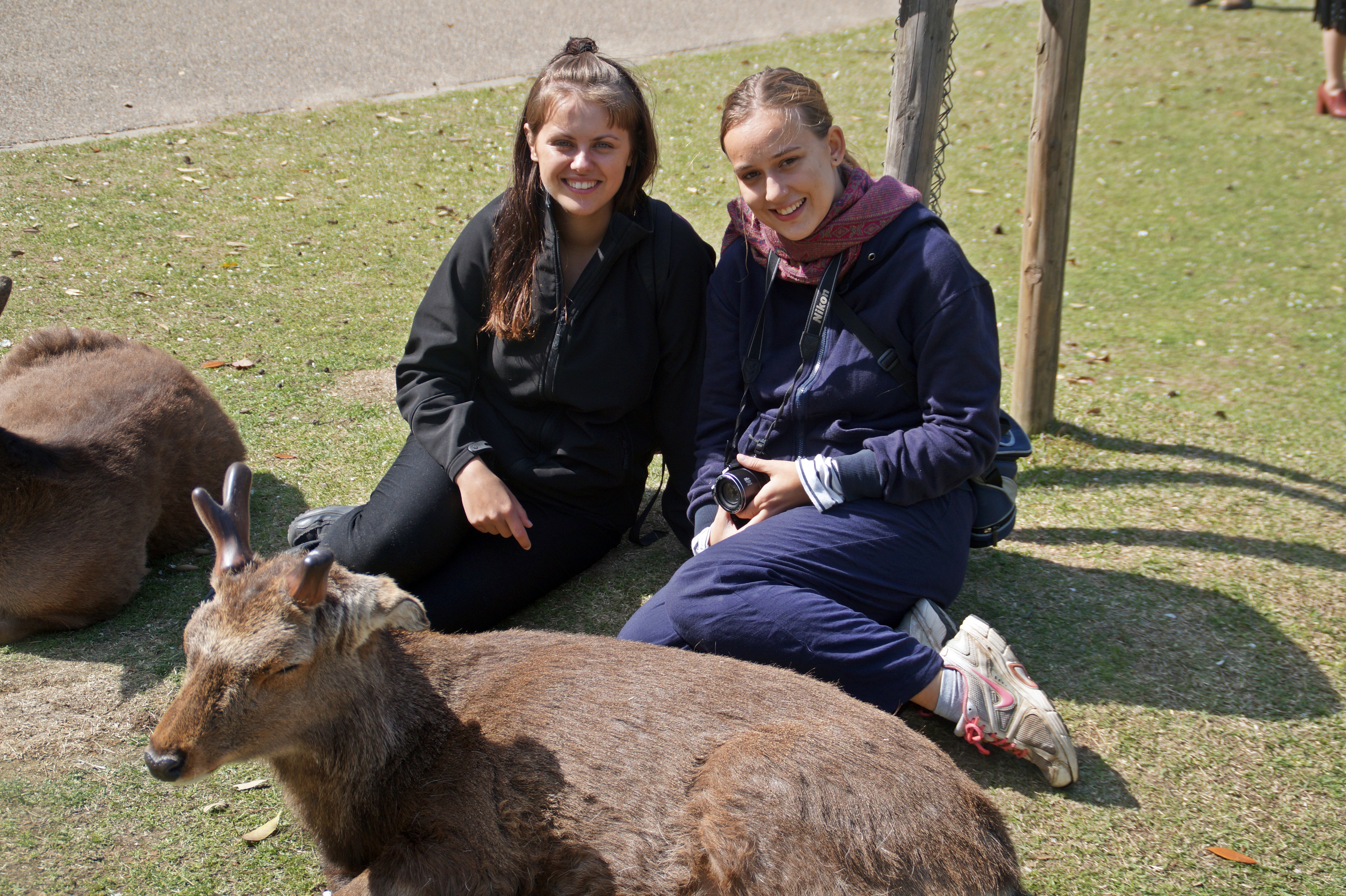 With my friend Victoria in Nara Park