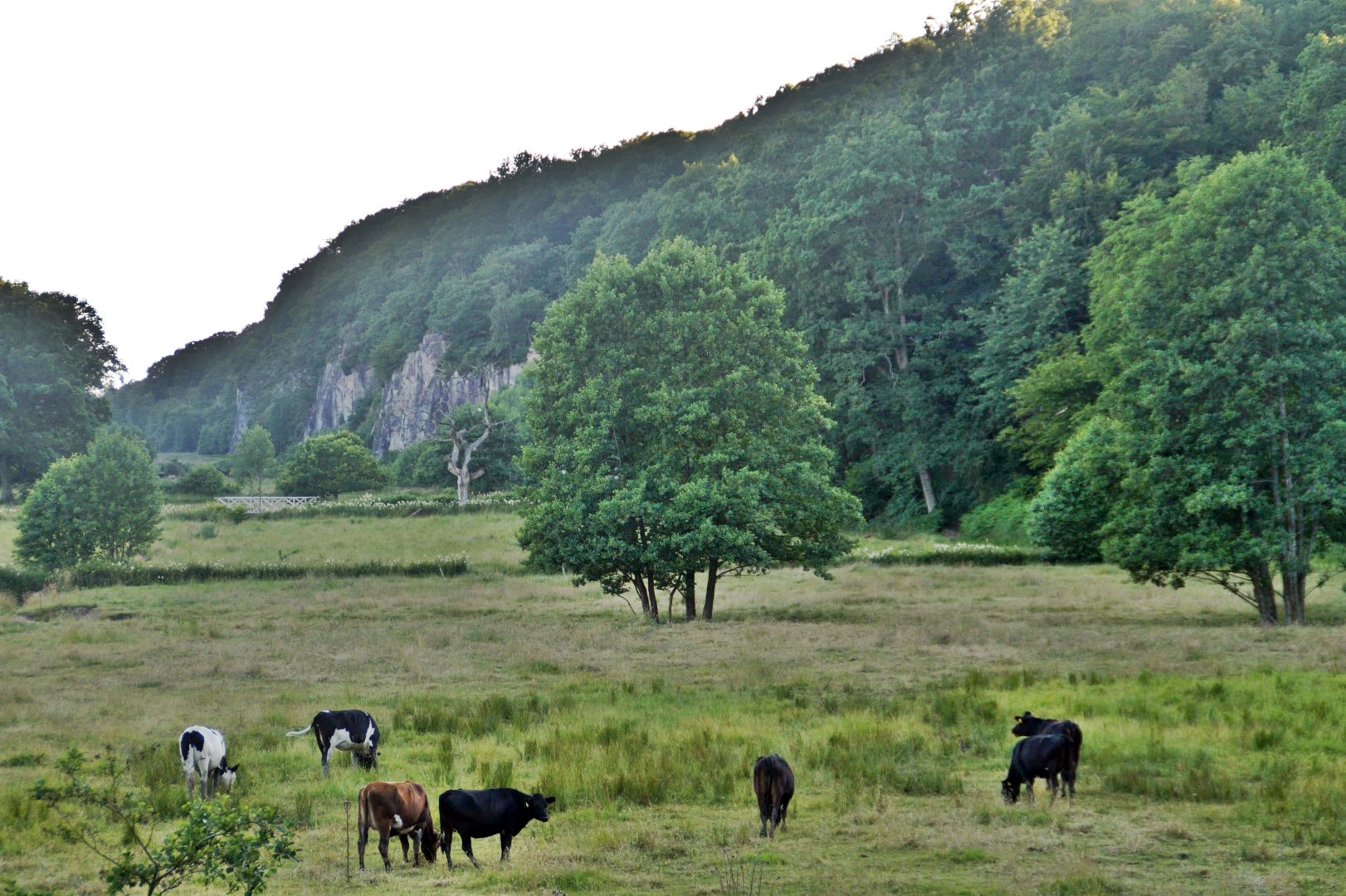 The Echo Valley