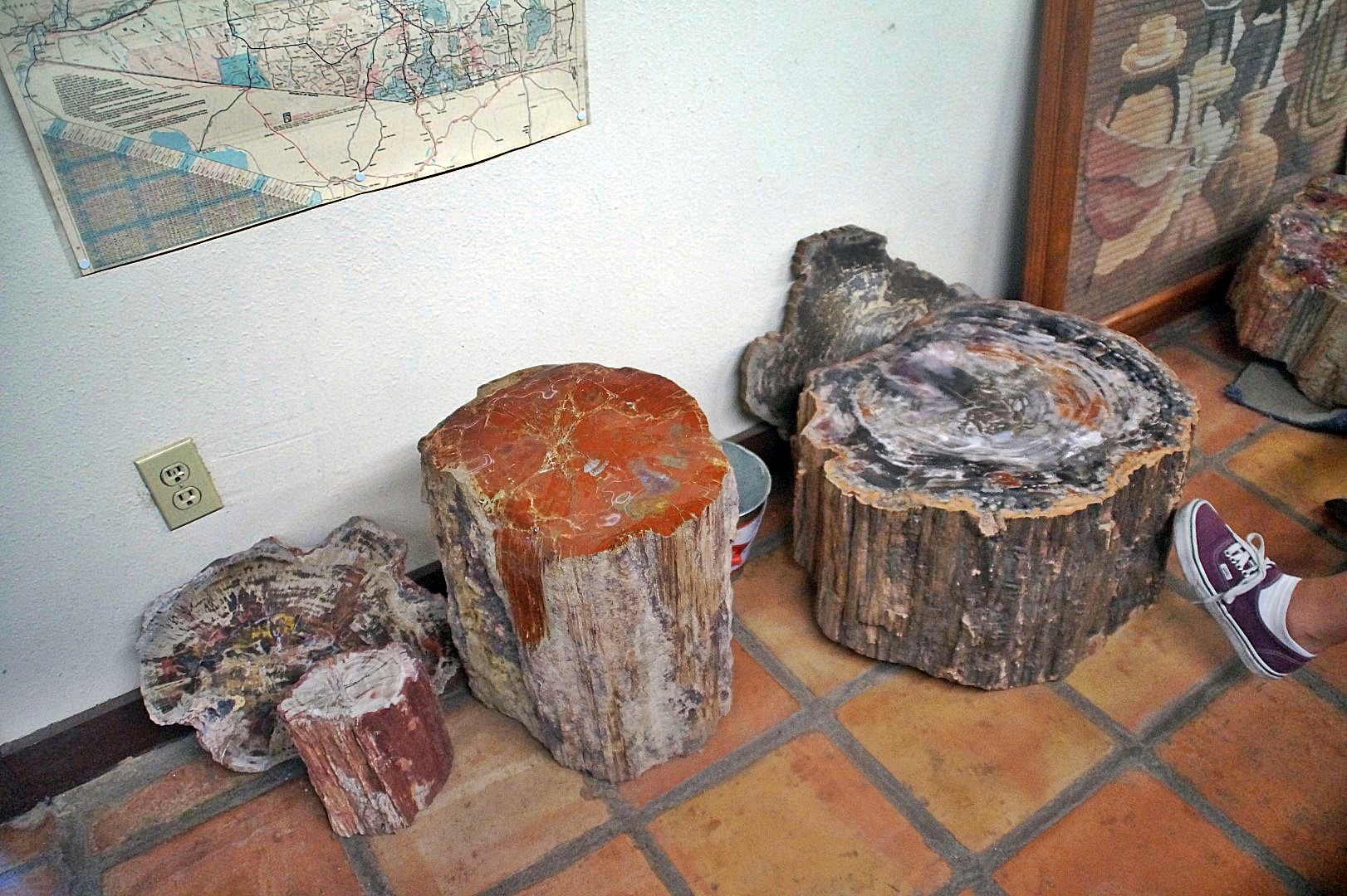 Petrified wood - this inspired us to go to the national park!
