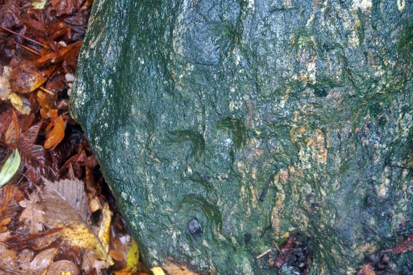 A stone with petroglyphs, presumably from the Bronze Age