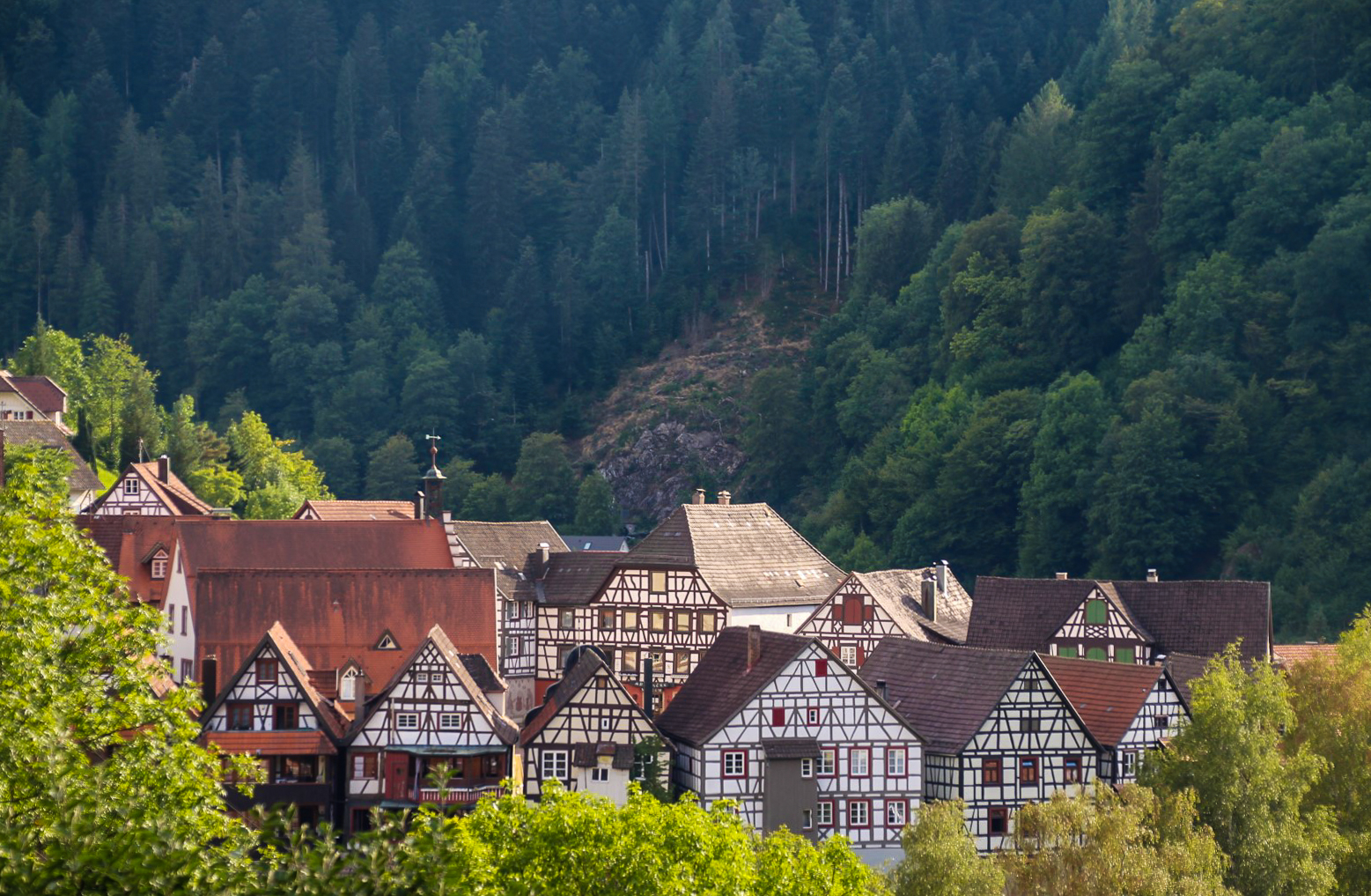 Martinskapelle, The Black Forest, Germany