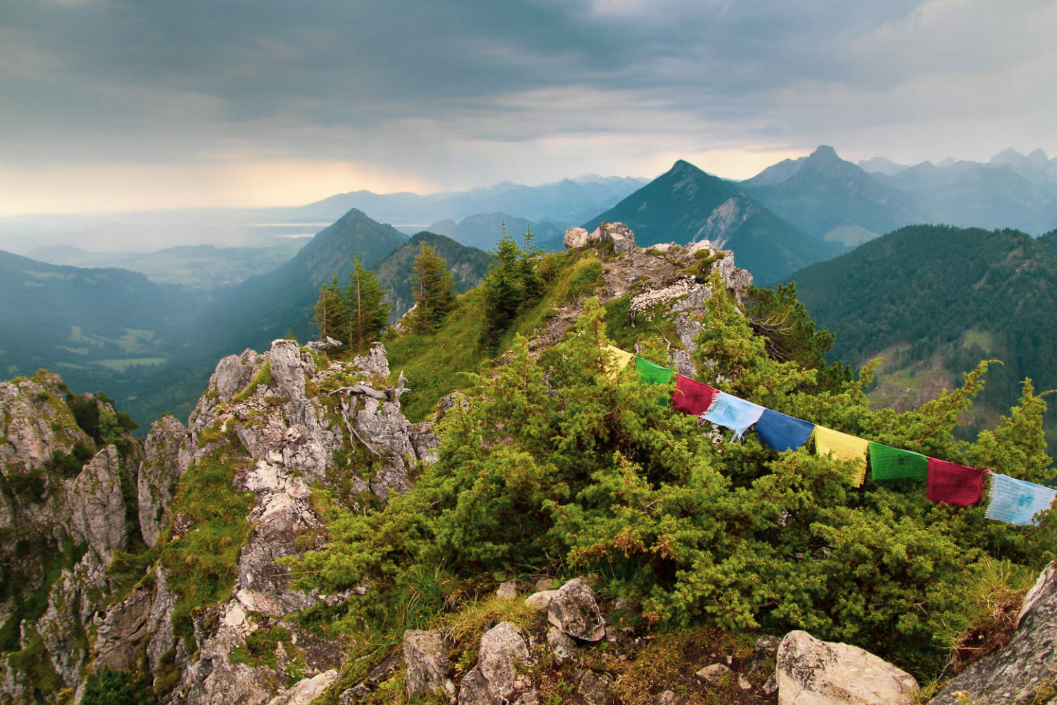 An odd world: Uncovering the border complexities of the Alps